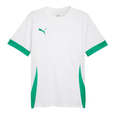 Koszulka sportowa Puma teamGOAL Matchday Jersey biała/zielona męska
