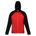 Regatta Hybridjacke Andreson VII (wasserabweisend, isolierend) rot/schwarz Herren
