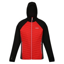 Regatta Hybridjacke Andreson VII (wasserabweisend, isolierend) rot/schwarz Herren