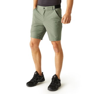Regatta Wanderhose Travel Light (wasserabweisend und schnelltrocknend) kurz grün Herren