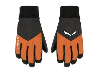 Salewa Winter Gloves Kids PTX/TWR (waterproof and breathable) black/brown Children
