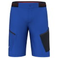 Salewa Wanderhose Short Pedroc Cargo 3 DST Outdoor (wasserabweisend, leicht) kurz elektrikblau Herren