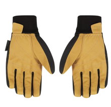 Salewa Softshellhandschuhe Ortles Dst mit Lederhandfläche - strapazierfähig, atmungsaktiv - schwarz/gelb Damen