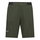 Salewa Wanderhose Pedroc Cargo 4 DST Short (atmungsaktiv, leicht) kurz olivegrün Herren