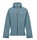 Salewa Trekking-Wanderjacke Puez Powertex (2,5-Lagen Hardshelljacke, wind- und wasserdicht) willow blau Herren
