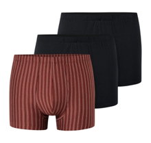Schiesser Underwear Boxer Shorts 95/5 Organic Cotton multi-coloured black/red-brown/striped 924 Men's - 3 pieces
