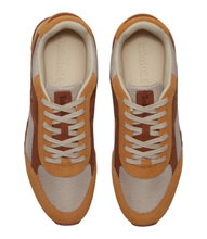Timberland Sneaker Scout Heights (Premium Leder) braun/beige Herren