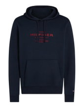 Tommy Hilfiger Kapuzenpullover Oval Graphic Hoodie (Baumwollmix) dunkelblau Herren