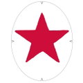 Tourna Logoschablone Tennis - Motiv Stern Stern