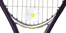 Tourna Schwingungsdämpfer Vibrex Blume