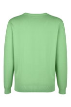 U.S. Polo Assn. Pullover Crewneck US16859 (100% Baumwolle) salbeigrün Herren