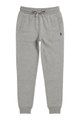 U.S. Polo Assn. Jogginghose Sweatpant (Baumwolle-Mischung) lang grau Herren
