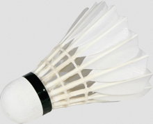 Victor Badmintonbälle Pro Court (Training) Naturfeder weiss Dose 12er