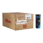 Wilson Tennisbälle Tour Premier Allcourt Dose 24x3er im Karton