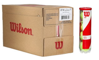 Wilson Tennisbälle Team W Practice Dose 18x4er im Karton