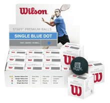 Wilson Squashball Staff (blauer Punkt, Speed schnell) schwarz - 1 Ball