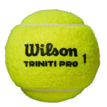 Wilson Tennisbälle Triniti Pro (wiederverwertbare Verpackung) Dose 18x4er im Karton