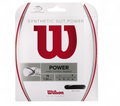 Wilson Tennissaite Synthetic Gut Power 1.30 (Allround+Power) schwarz 12m Set