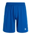 Wilson Sporthose Fundamentals Short (Basketball) kurz blau Herren