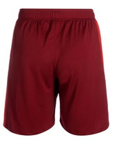 Wilson Sports Shorts Fundamentals Short (Basketball) Red Men's