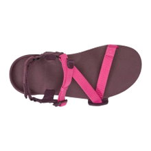 Xero Shoes Sandale Z-Trail EV fuchsia/purple Damen