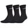 adidas Sportsocken Crew Half Cushioned Schriftzug schwarz 3er