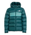 adidas Winter Jacket J SD (warm, synthetic insulation) aurora ivy green children