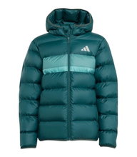 adidas Winter Jacket J SD (warm, synthetic insulation) aurora ivy green children