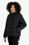 Champion Steppjacke - leichte wattierte Kapuzenjacke in Kontrastoptik - schwarz Damen