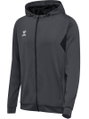 hummel Sport-Kapuzenjacke hmlAUTHENTIC PL Zip Hoodie (100% rec. Polyester) asphaltgrau Herren