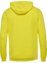 hummel Sport Hoodie hmlAUTHENTIC PL Zip Hoodie (100% recycled Polyester) yellow Men