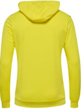 hummel Sport Hoodie hmlAUTHENTIC PL Hoodie (with zip pockets) yellow Men