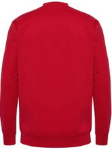 hummel Casual Sweatshirt hmlGO 2.0 Sweatshirt (soft sweat fabric) red Men