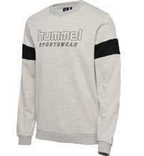 hummel Pullover hmlLGC Bryce Sweatshirt (Cotton) grey Men