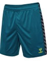 hummel Sporthose hmlAUTHENTIC PL Shorts (100% Polyester) kurz coralblau Herren