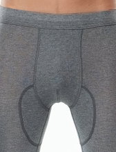 Medima Underwear Underpants (Cashmere/Silk) long grey Men (Size XL-XXL)