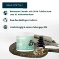 Brandl Shilajit Extrakt (500mg Shilajit Extrakt) 120 Kapseln