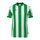 uhlsport Sport-Tshirt Retro Stripe (V-Ausschnit) Kurzarm grün/weiss Herren