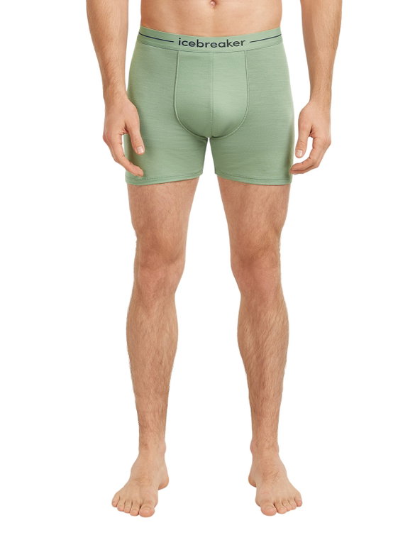 Icebreaker Boxershort Anatomica (Merinowolle) Unterwäsche sea grün Herren
