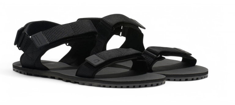 Xero Shoes D-Trail Sandal black men's