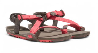 Xero Shoes Sandale Z-Trail EV braun/korallrot Damen